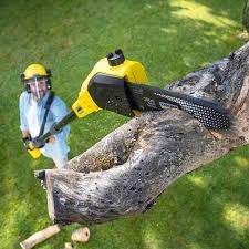 Best Commercial Tree Services  in Nesconset, NY