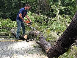 Best Lawn Grading and Leveling  in Nesconset, NY