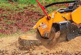 Best Tree Removal  in Nesconset, NY